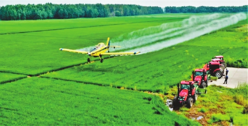 植保无人机 麦田上最美的&ldquo;舞者&rdquo;
