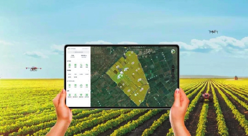 20200810_008_01_36.jpg 20200810_008_01_36.jpg